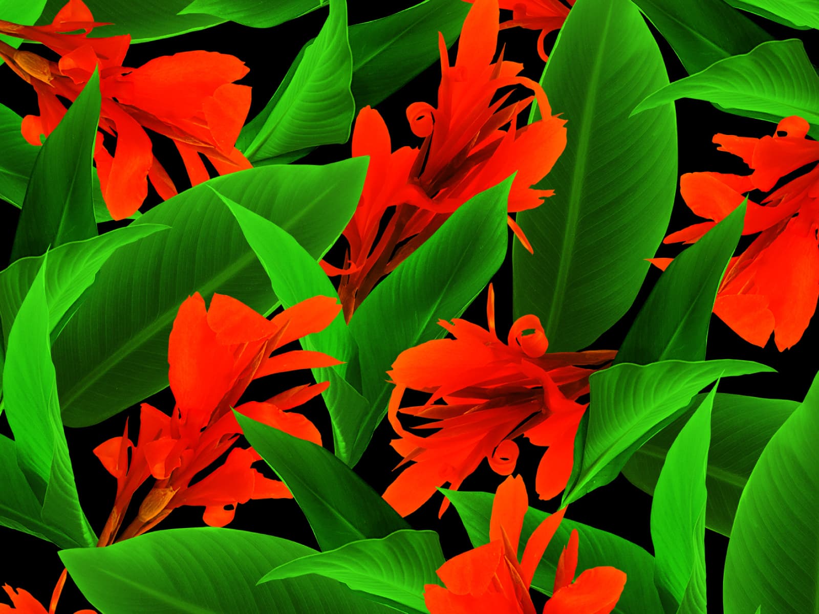 Pattern Design for Laura Campion.