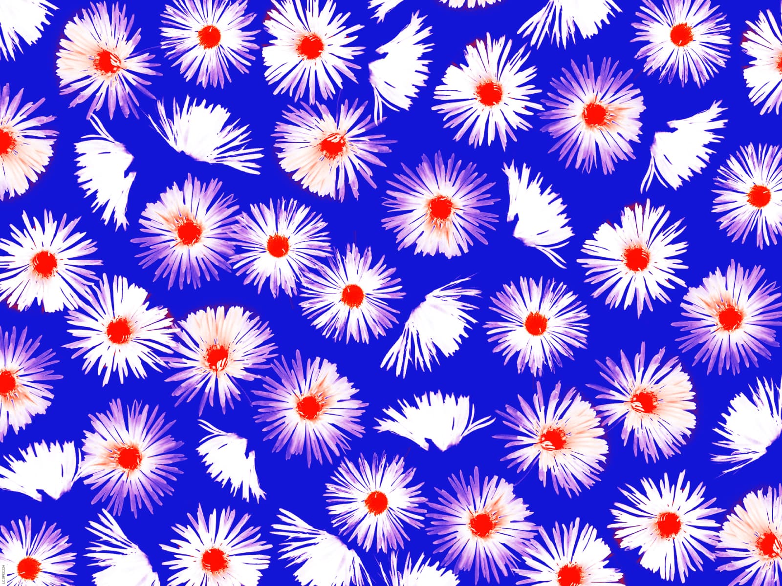 Pattern Design for Laura Campion.